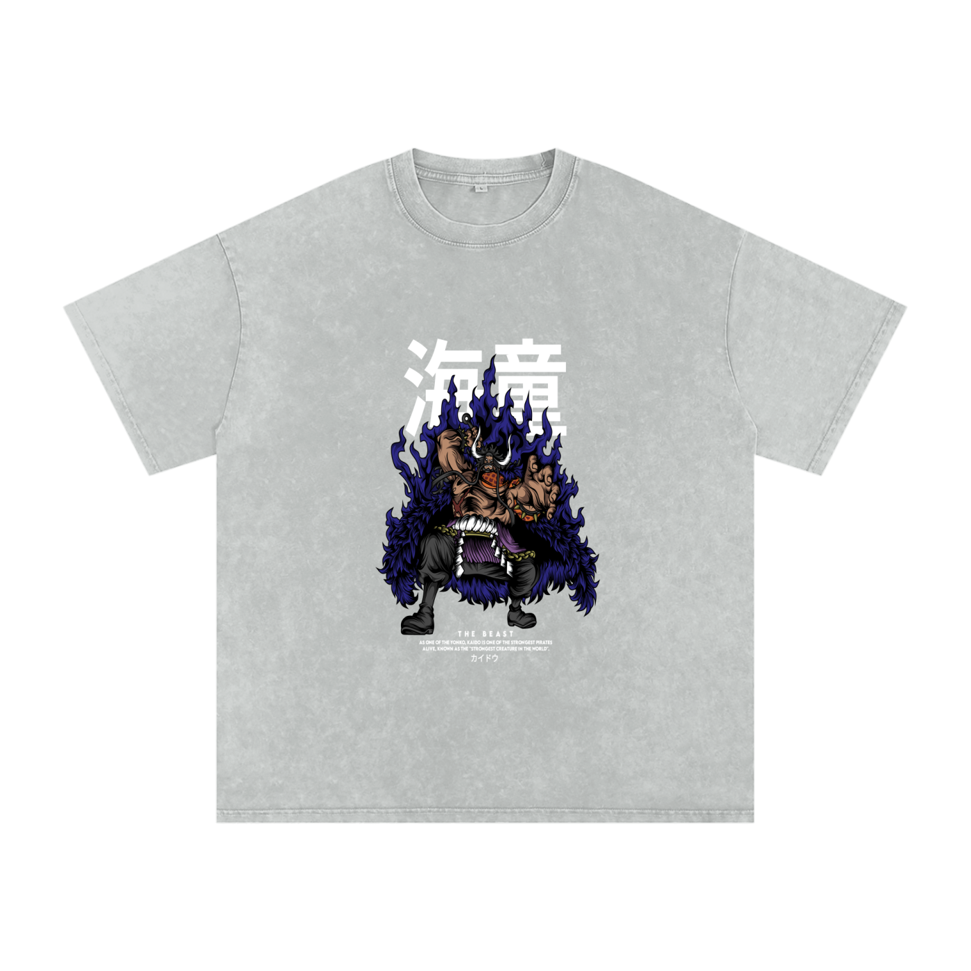 Snow Washed Oversized Cotton T-Shirt